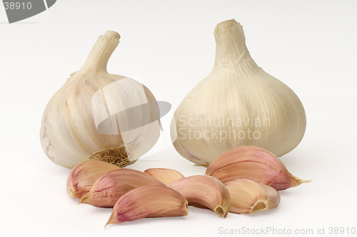 Image of Garlic