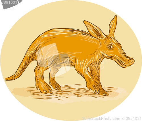 Image of Aardvark African Ant Bear Drawing