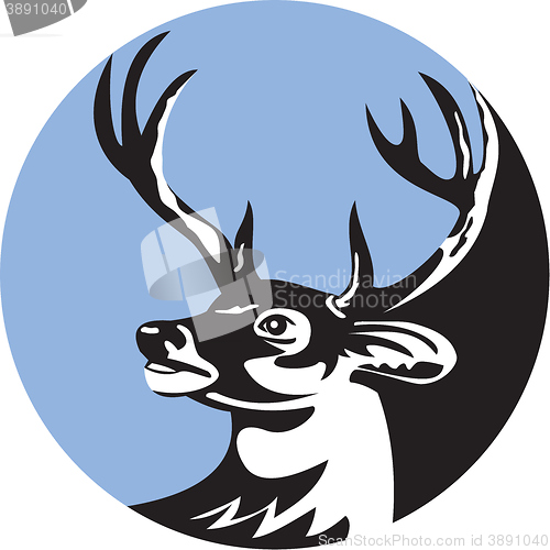 Image of Whitetail Deer Buck Head Circle Retro