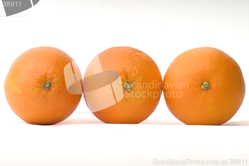 Image of Oranges
