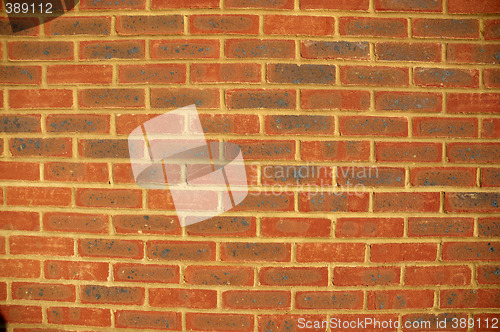 Image of New brick wall