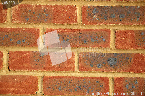 Image of New brick wall