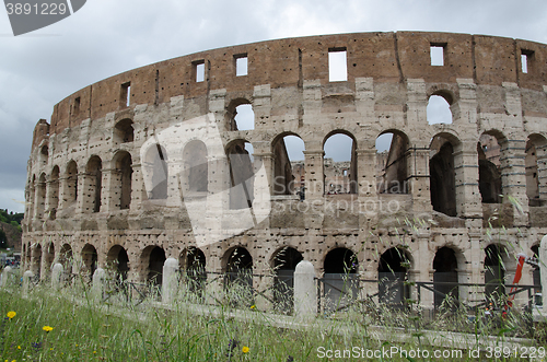 Image of Flowers by the Colosseum in Rome, Italy