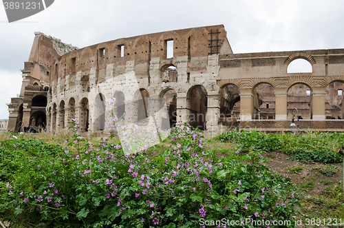 Image of Spring at Colosseum, Rome