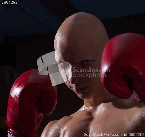 Image of fighter in red gloves