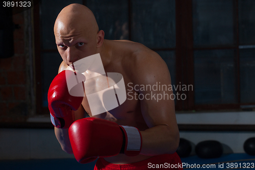 Image of fighter with red gloves