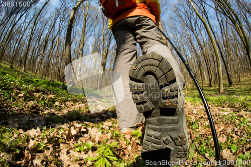 Image of Male hiker looking to the side walking in forest