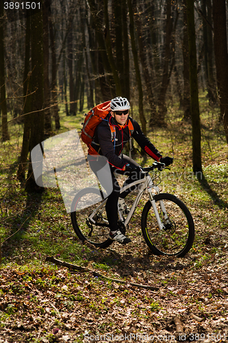 Image of Rider in action at Freestyle Mountain Bike Session