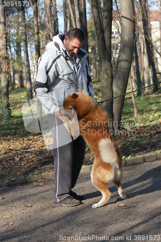 Image of Man and joyful dog in public park