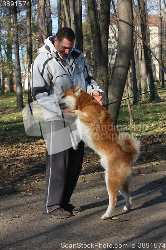 Image of Man and joyful dog in public park