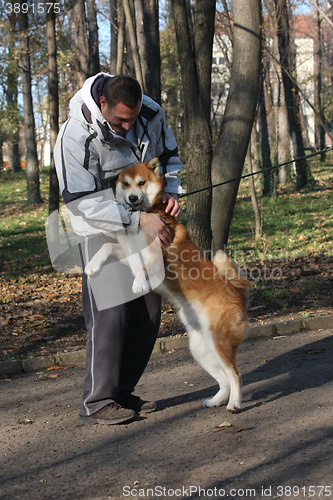 Image of Man and joyful dog in public park