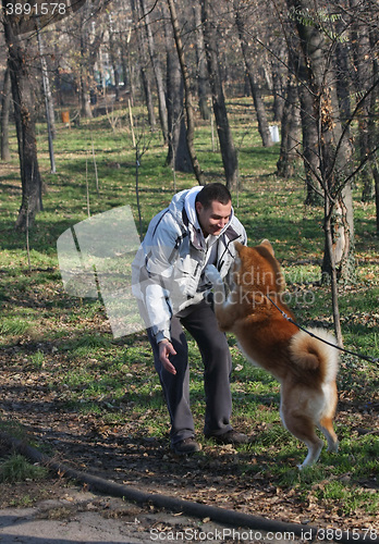 Image of Man and joyful dog in public park