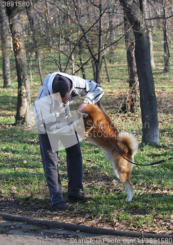 Image of Man and joyful dog in public park