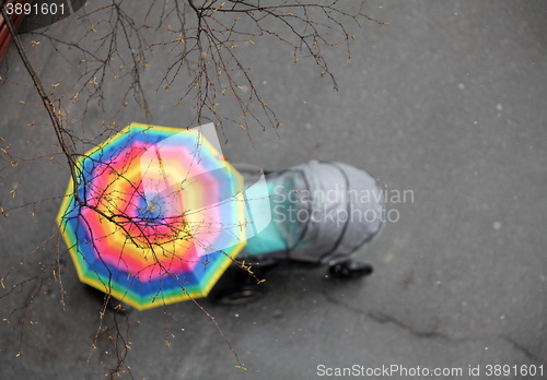 Image of Baby strollers and umbrella