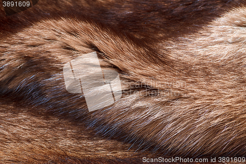 Image of natural fur closeup