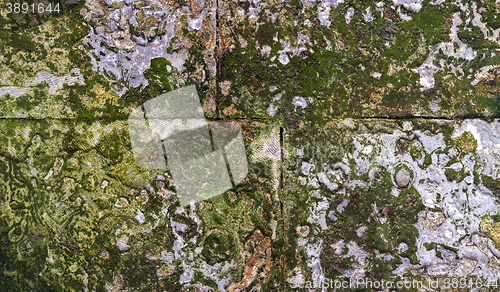 Image of ancient masonry overgrown with moss