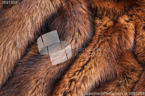 Image of natural fur closeup