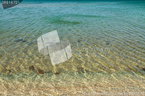 Image of tropical beach with turquoise water