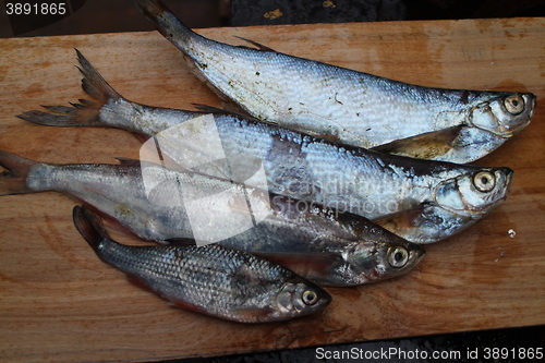 Image of  raw fish on a cutting table