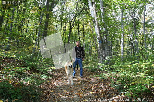 Image of Man and dog enjoying in the forest