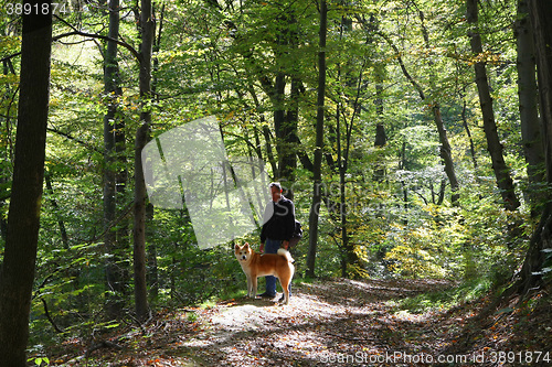 Image of Man and dog enjoying in the forest