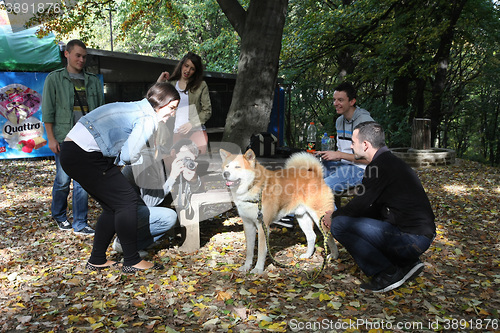 Image of Dog surrounded by young people