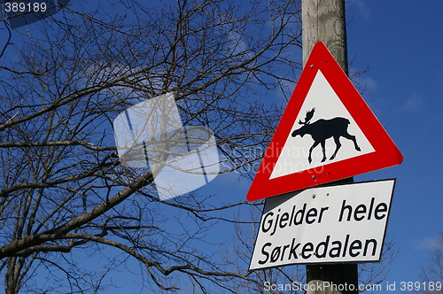 Image of Danger elk sign in Norway