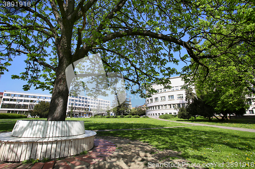 Image of View on Mary Church and Banovina palace, Parliament building of 