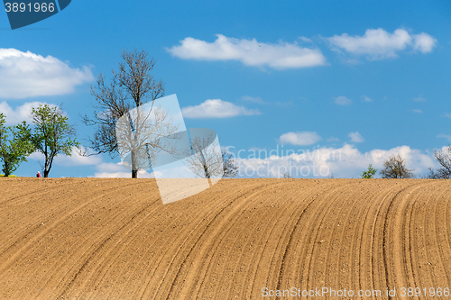 Image of Beautiful summer rural landscape