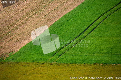 Image of Beautiful summer rural landscape lines