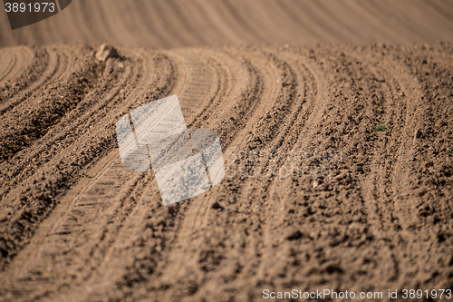 Image of Beautiful summer rural landscape lines