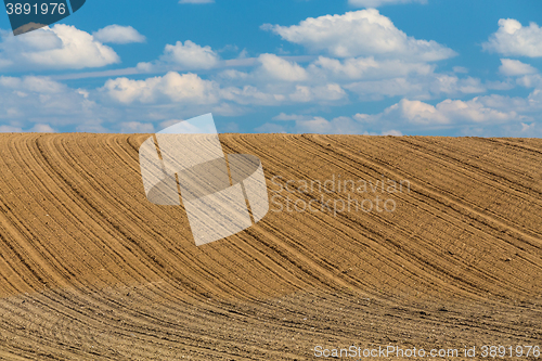 Image of Beautiful summer rural landscape