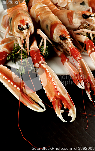 Image of Delicious Raw Langoustines