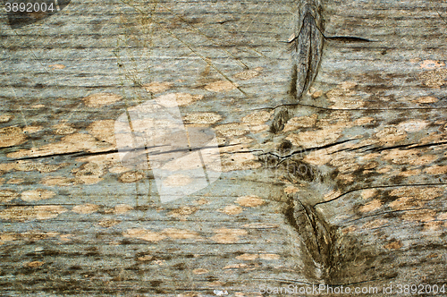 Image of Cracked Wooden Background