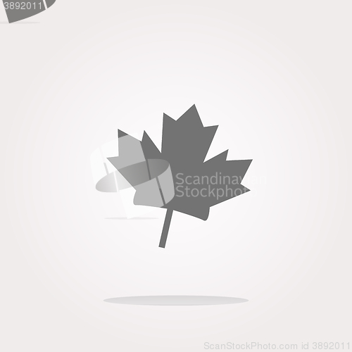Image of vector maple leaf icon glassy web button. Web Icon Art. Graphic Icon Drawing