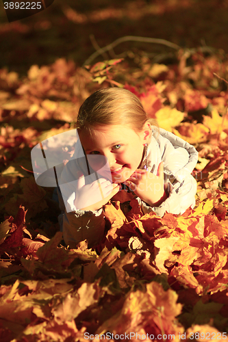 Image of little girl laying in yellow leaves