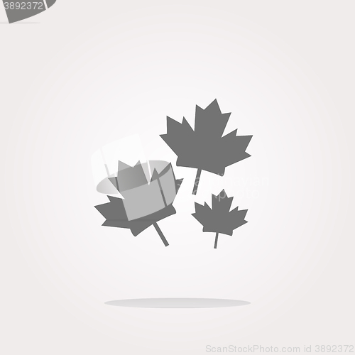 Image of vector Maple leaf icon on web button. Web Icon Art. Graphic Icon Drawing