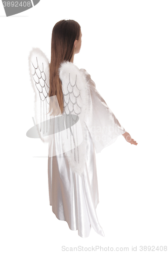 Image of Angel standing in profile 17.