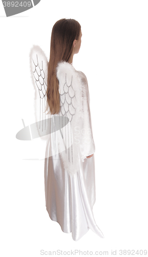 Image of Angel standing in profile 16.