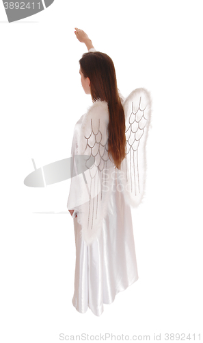 Image of Angel standing in profile 14.