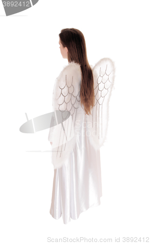 Image of Angel standing in profile 13.