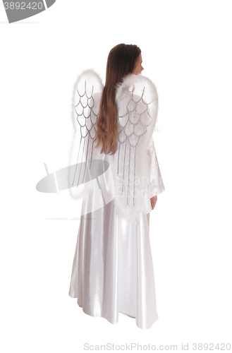 Image of Angel standingin profile 5.