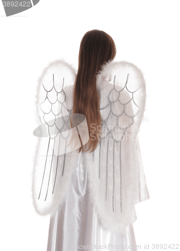 Image of Angel standing from back 3.