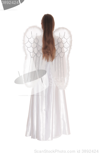 Image of Angel standing from back 1.