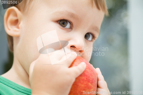 Image of Portrait of a cute little boy biting apple