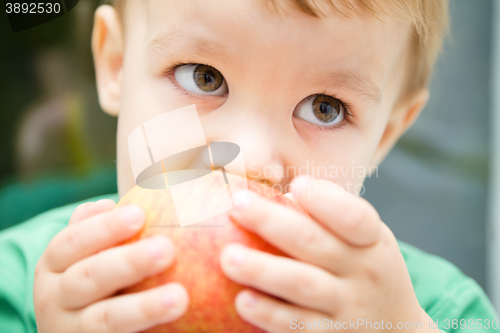 Image of Portrait of a cute little boy biting apple