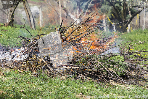 Image of Fire and Smoke from during Burning branches