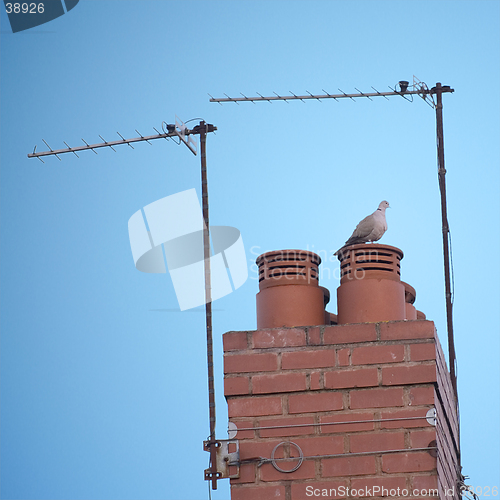 Image of Chimney and dove