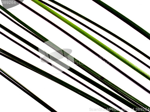 Image of lines