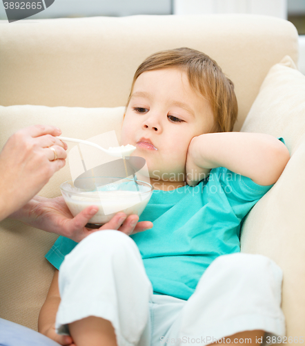 Image of Cute little boy is fed using spoon